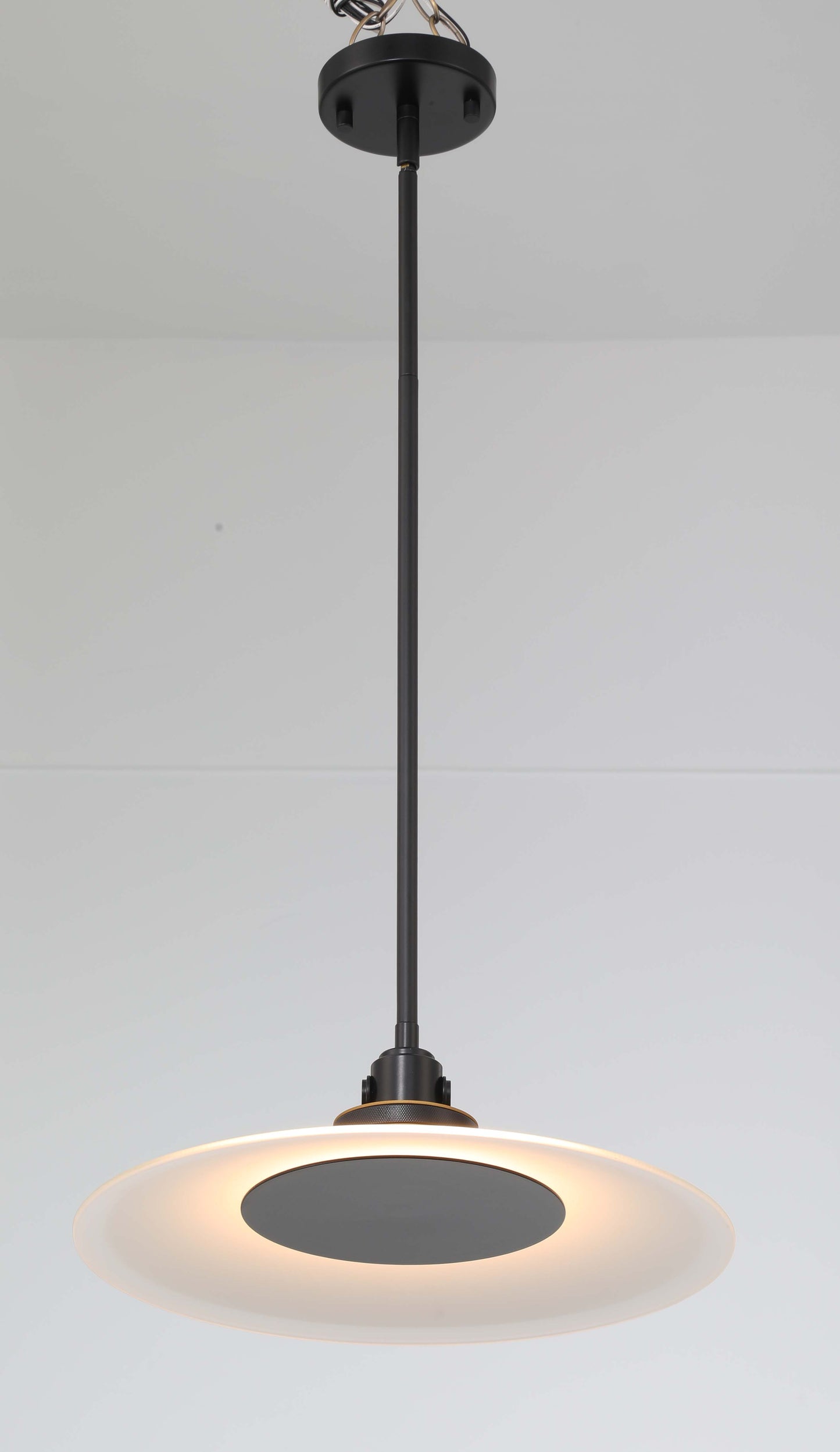 Eurofase Lighting Deckard 16" 1-Light Integrated LED Frosted Glass Shade Gold and Black Outdoor Pendant Light