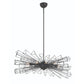 Eurofase Lighting Dendelio 45" 10-Light Incandescent Round Matte Black Chandelier