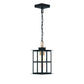 Eurofase Lighting Greyson 16" 1-Light Integrated LED Clear Glass Shade Brass and Black Outdoor Pendant Light