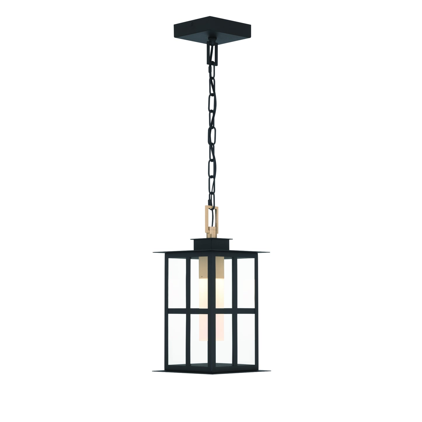 Eurofase Lighting Greyson 16" 1-Light Integrated LED Clear Glass Shade Brass and Black Outdoor Pendant Light