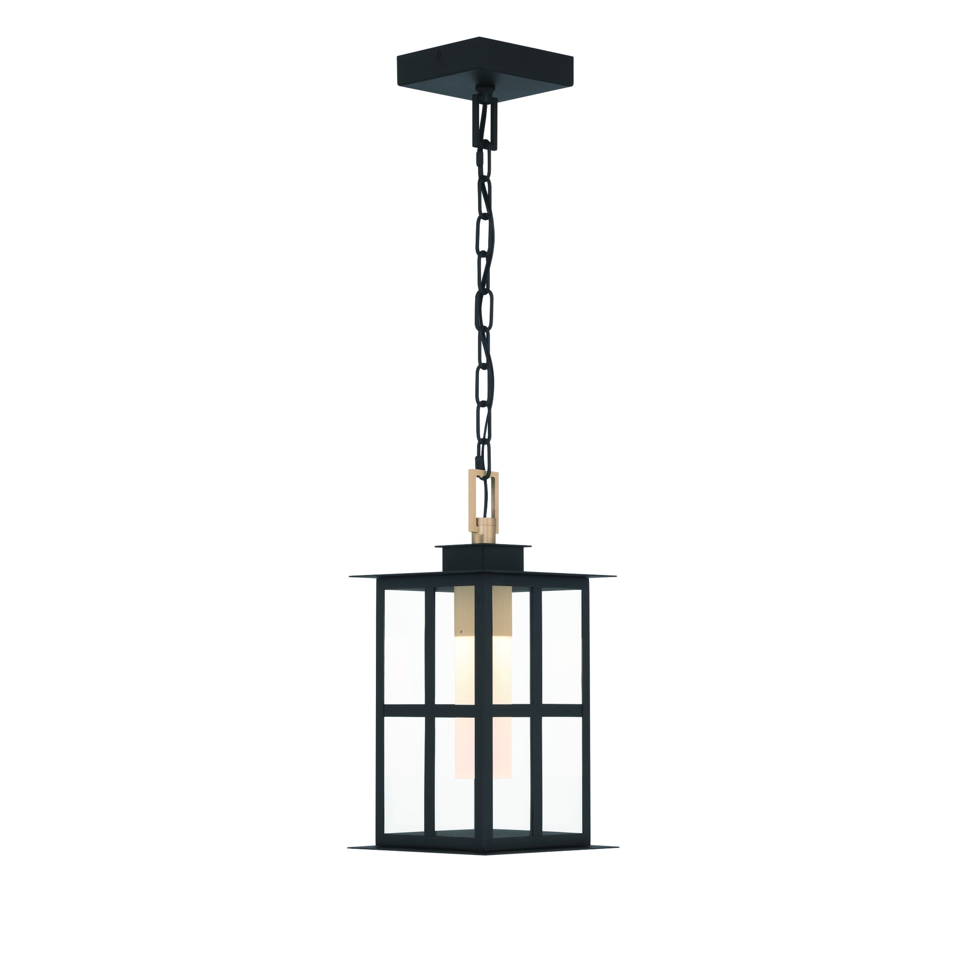 Eurofase Lighting Greyson 16" 1-Light Integrated LED Clear Glass Shade Brass and Black Outdoor Pendant Light