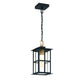 Eurofase Lighting Greyson 16" 1-Light Integrated LED Clear Glass Shade Brass and Black Outdoor Pendant Light