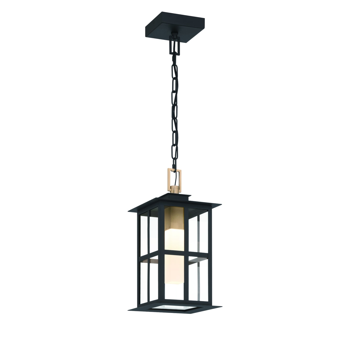 Eurofase Lighting Greyson 16" 1-Light Integrated LED Clear Glass Shade Brass and Black Outdoor Pendant Light