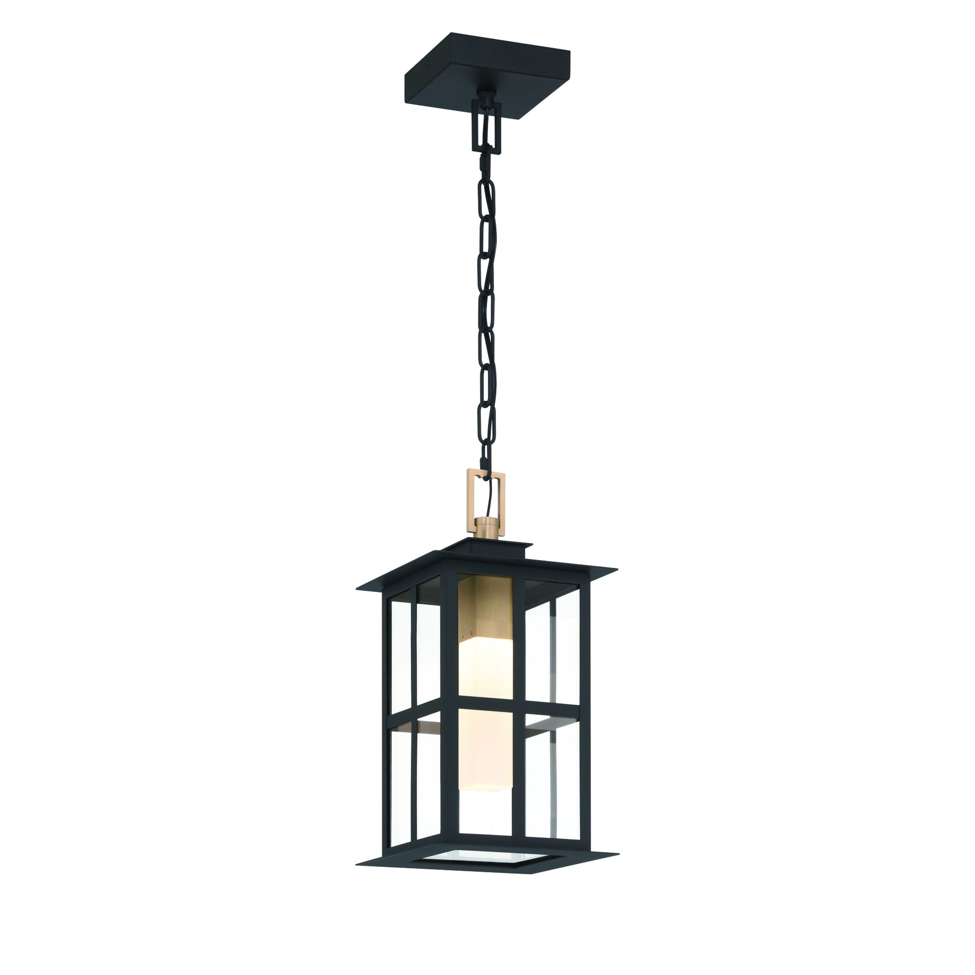 Eurofase Lighting Greyson 16" 1-Light Integrated LED Clear Glass Shade Brass and Black Outdoor Pendant Light
