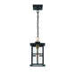 Eurofase Lighting Greyson 16" 1-Light Integrated LED Clear Glass Shade Brass and Black Outdoor Pendant Light
