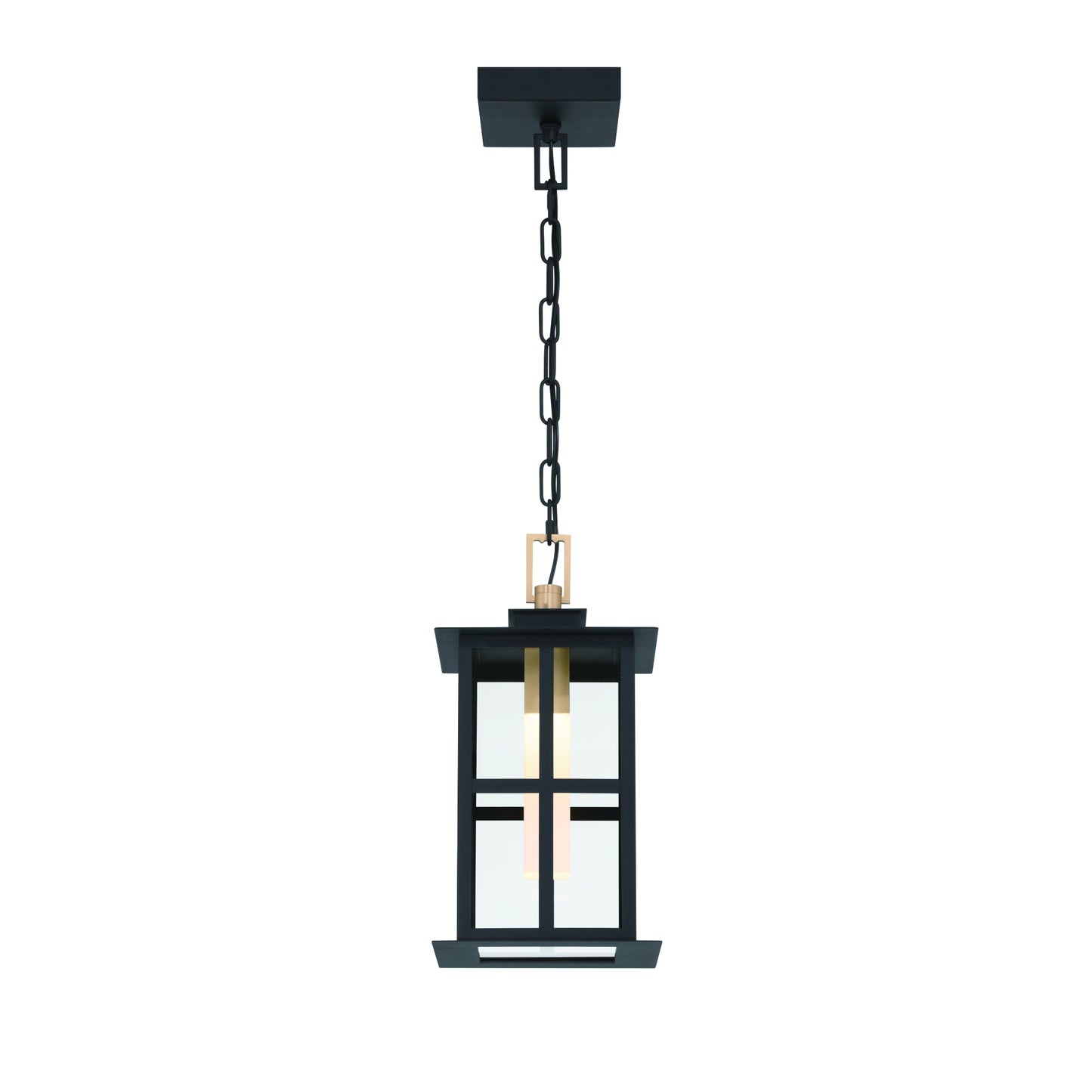 Eurofase Lighting Greyson 16" 1-Light Integrated LED Clear Glass Shade Brass and Black Outdoor Pendant Light