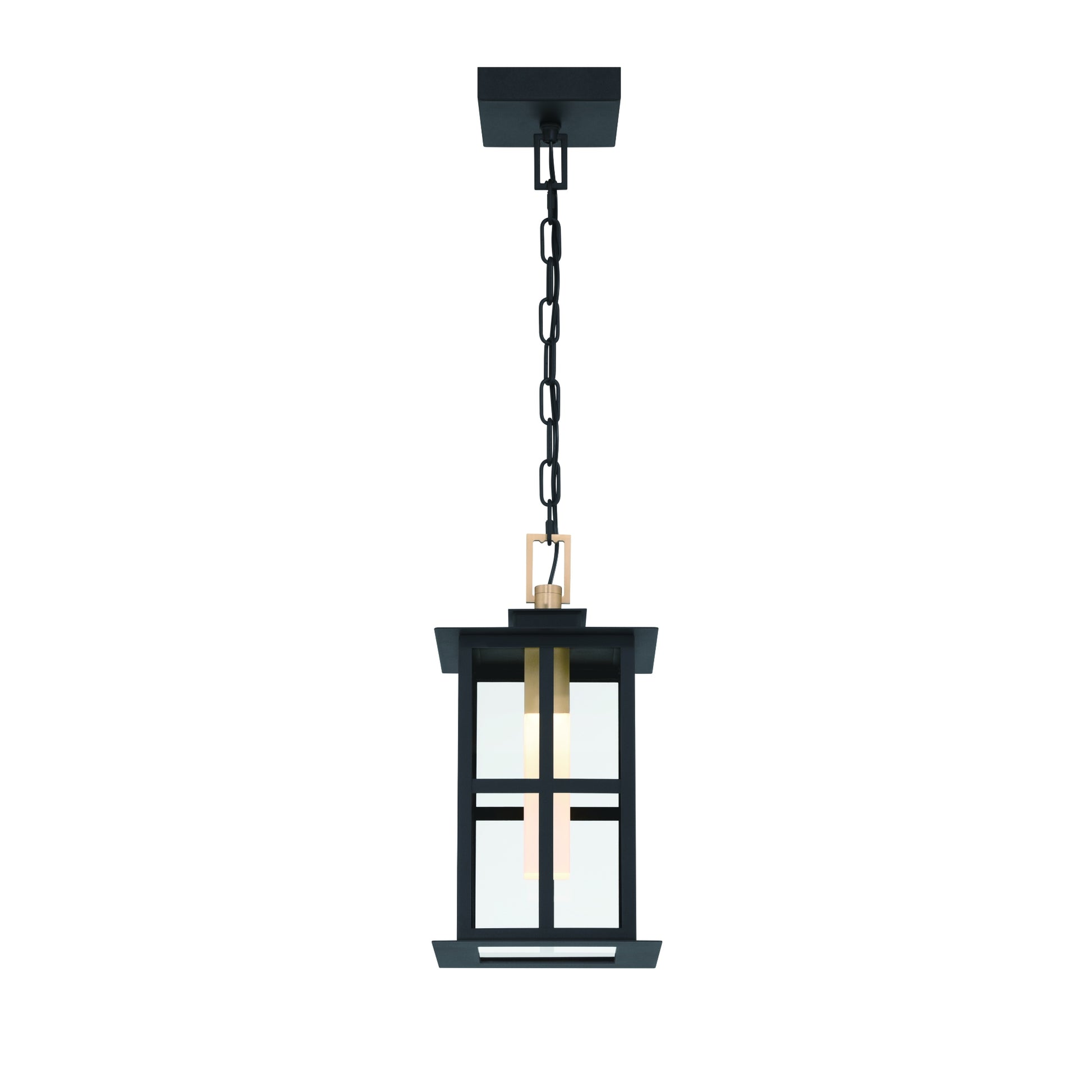 Eurofase Lighting Greyson 16" 1-Light Integrated LED Clear Glass Shade Brass and Black Outdoor Pendant Light