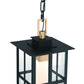 Eurofase Lighting Greyson 16" 1-Light Integrated LED Clear Glass Shade Brass and Black Outdoor Pendant Light