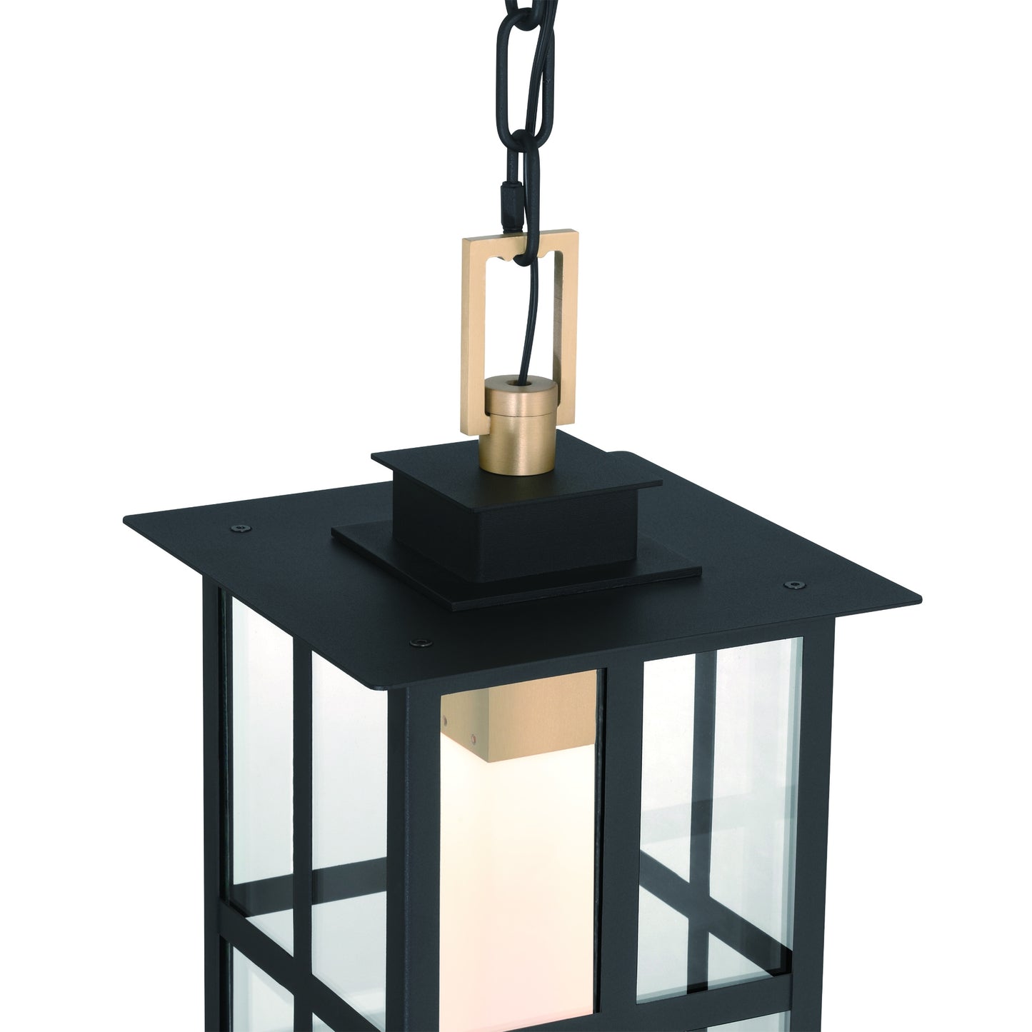 Eurofase Lighting Greyson 16" 1-Light Integrated LED Clear Glass Shade Brass and Black Outdoor Pendant Light