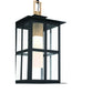 Eurofase Lighting Greyson 16" 1-Light Integrated LED Clear Glass Shade Brass and Black Outdoor Pendant Light