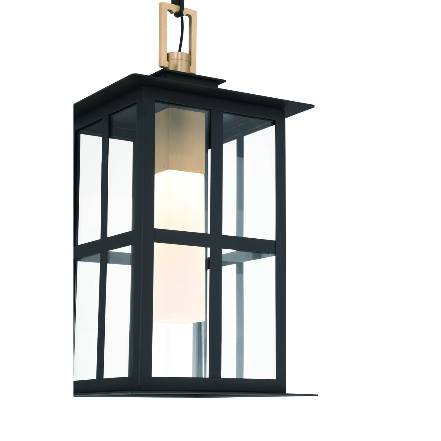 Eurofase Lighting Greyson 16" 1-Light Integrated LED Clear Glass Shade Brass and Black Outdoor Pendant Light