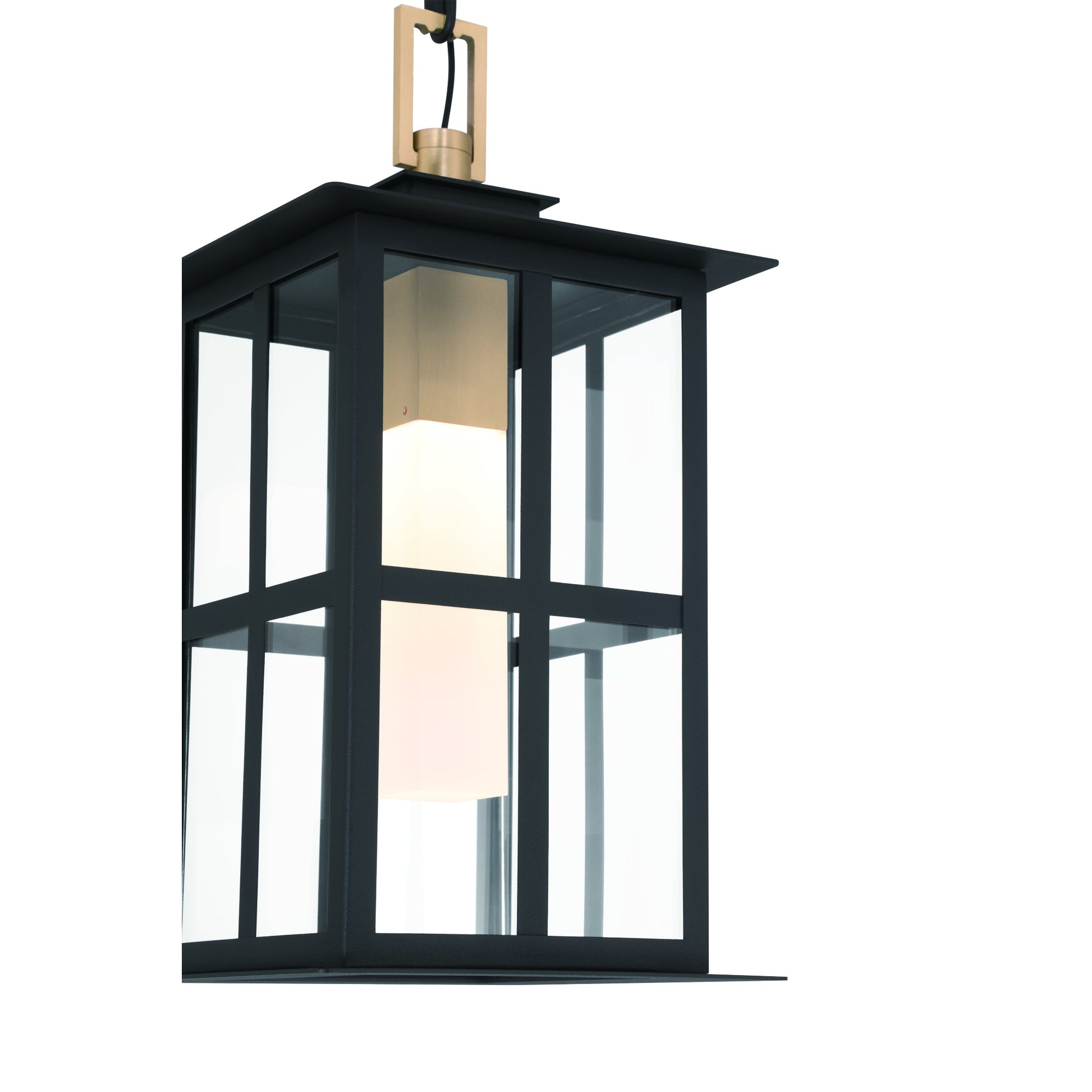 Eurofase Lighting Greyson 16" 1-Light Integrated LED Clear Glass Shade Brass and Black Outdoor Pendant Light