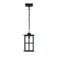 Eurofase Lighting Greyson 16" 1-Light Integrated LED Clear Glass Shade Brass and Black Outdoor Pendant Light