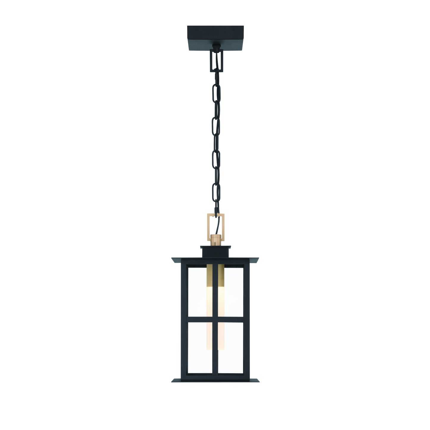 Eurofase Lighting Greyson 16" 1-Light Integrated LED Clear Glass Shade Brass and Black Outdoor Pendant Light