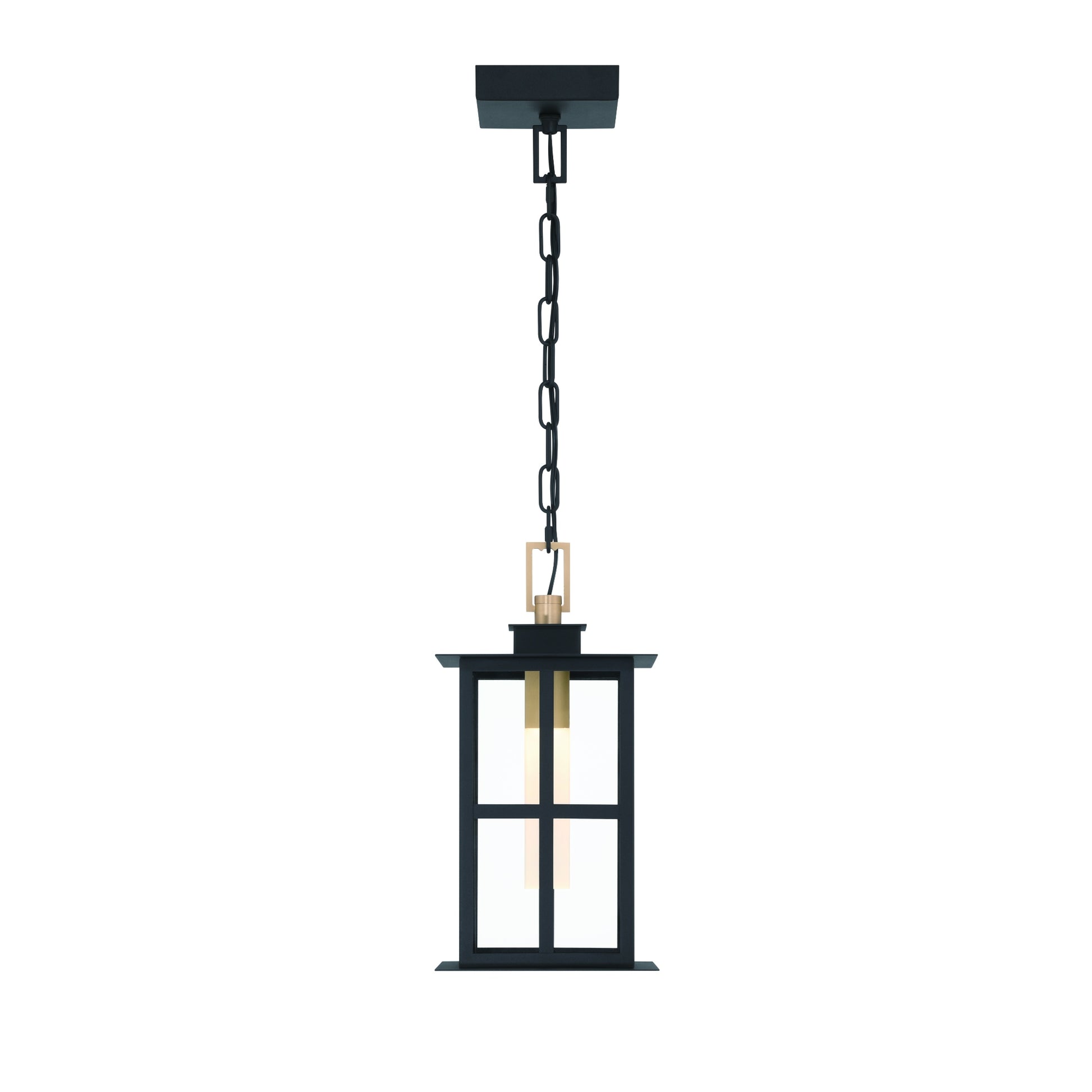 Eurofase Lighting Greyson 16" 1-Light Integrated LED Clear Glass Shade Brass and Black Outdoor Pendant Light
