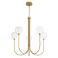 Eurofase Lighting Iissa 34" 5-Light Integrated LED Clear Glass Shade Gold Steel Chandelier