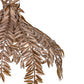 Eurofase Lighting Jalore 22" 3-Light Oil Rubbed Bronze Chandelier