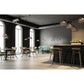 Eurofase Lighting Kenmore 16" Dimmable Integrated LED Metal Black Pendant Light With Black & Gold Metal Mesh Shades
