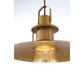 Eurofase Lighting Lamport 16" Dimmable Integrated LED Metal Brushed Brass Pendant Light With Cognac Glass Shade