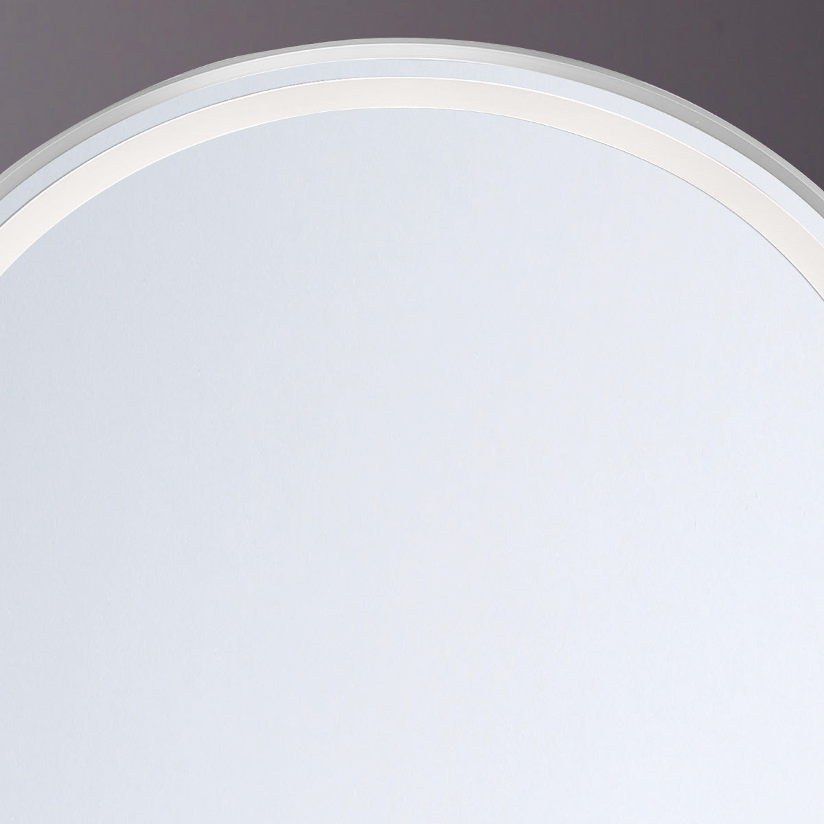 Eurofase Lighting Obon 26" x 65" Edge-Lit Integrated LED Oval Mirror With Aluminum Frame