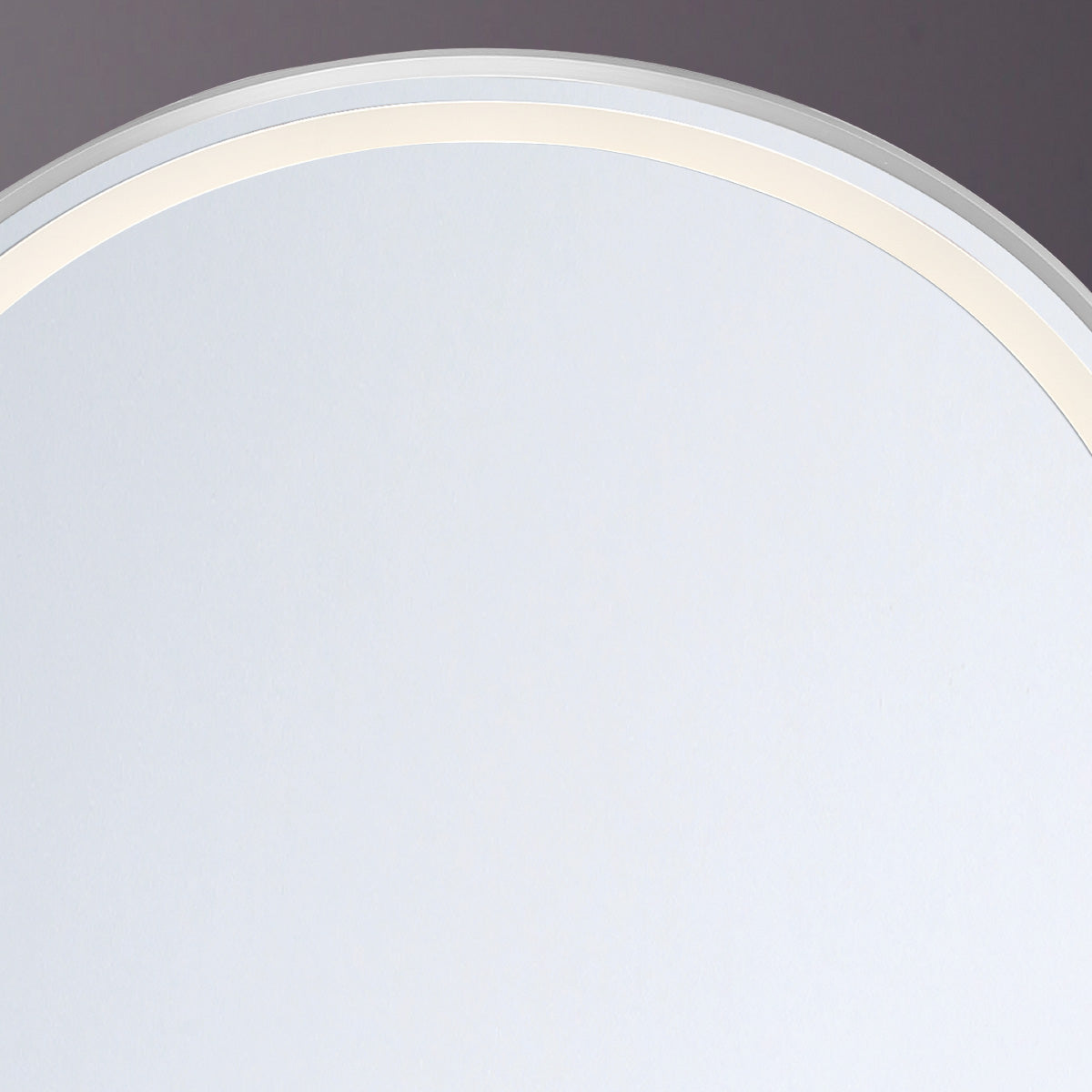 Eurofase Lighting Obon 26" x 65" Edge-Lit Integrated LED Oval Mirror With Aluminum Frame
