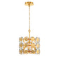 Eurofase Lighting Perrene 14" 3-Light Gold Incandescent Round Chandelier With Clear Glass Shade