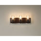Eurofase Lighting Pista 19" 3-Light Dimmable Incandescent Black Bath Bar With Clear Glass Shades