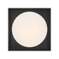 Eurofase Lighting Rover 12" Small Dimmable Integrated LED Black Flush Mount With Opal Glass Shade