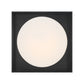 Eurofase Lighting Rover 15" Large Dimmable Integrated LED Black Flush Mount With Opal Glass Shade