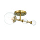 Eurofase Lighting Traiton 15" 1-Light Clear Glass Shade Gold Wall Sconce