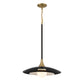 Eurofase Lighting Welsh 18" Dimmable Integrated LED Matte Black Pendant Light With Black Glass Shade