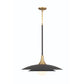 Eurofase Lighting Welsh 24" Dimmable Integrated LED Matte Black Pendant Light With Black Glass Shade