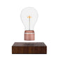 FLYTE Edison Single Bulb