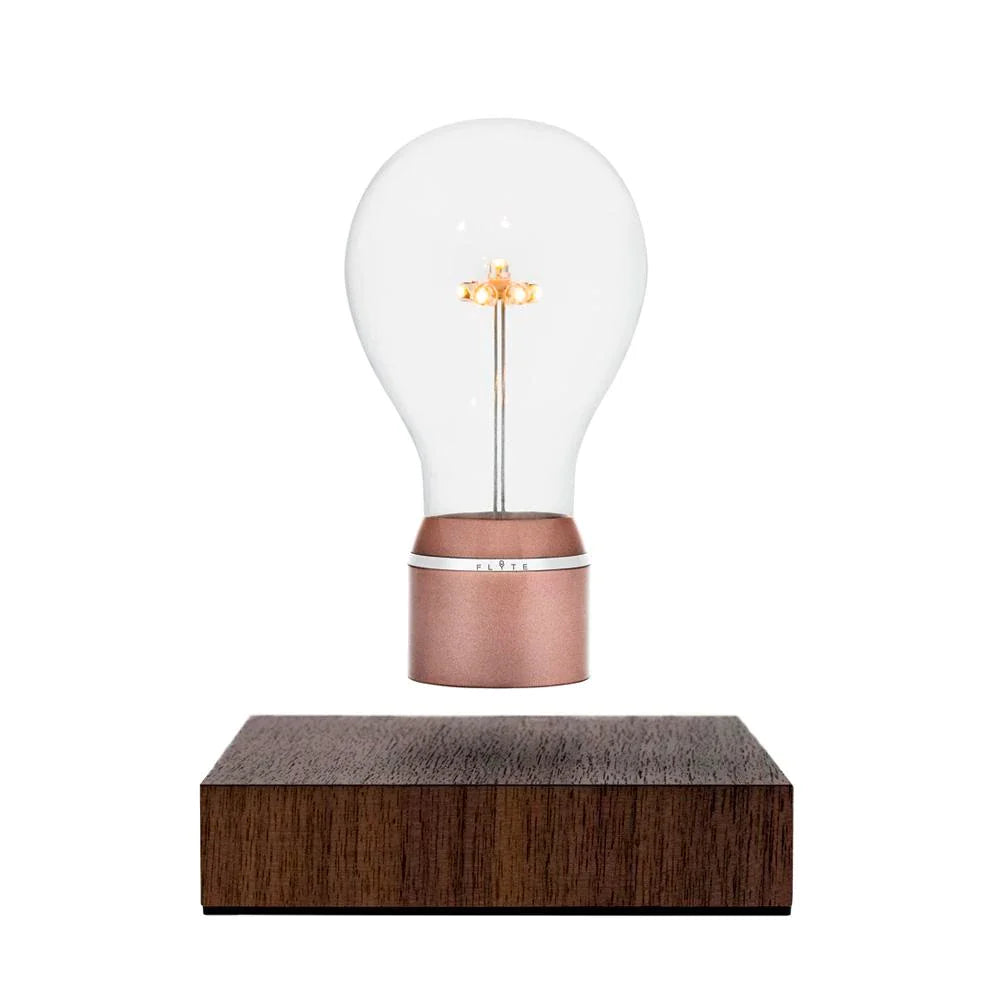 FLYTE Edison Single Bulb