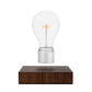 FLYTE Edison Single Bulb
