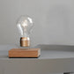 FLYTE Edison Single Bulb