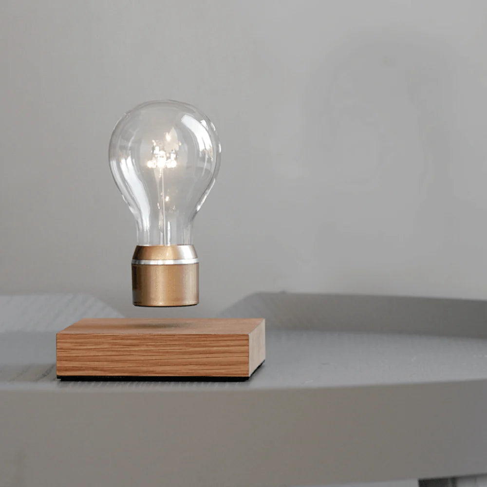 FLYTE Edison Single Bulb