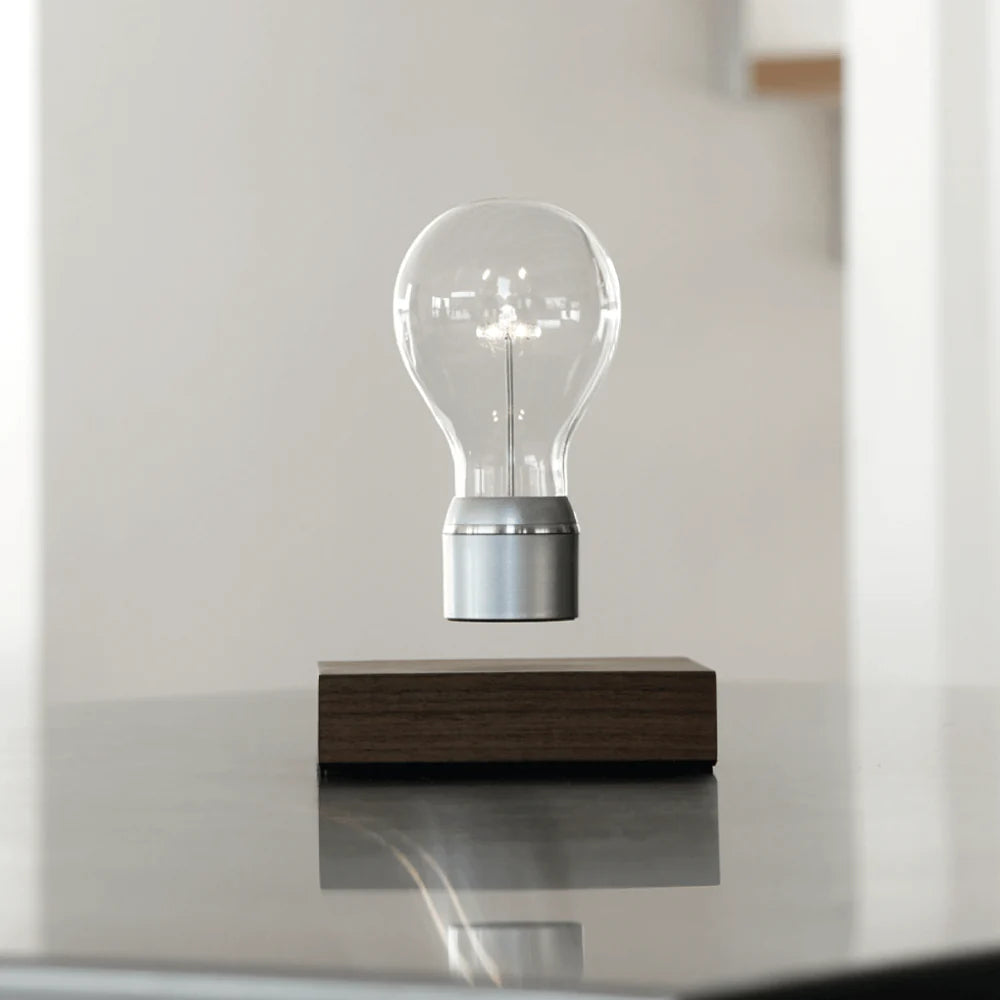 FLYTE Edison Single Bulb