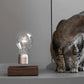 FLYTE Edison Single Bulb