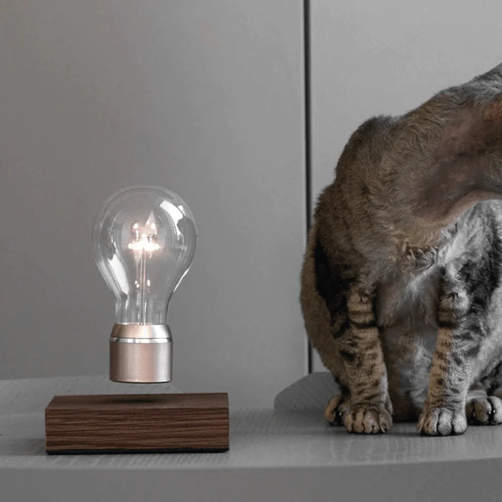FLYTE Edison Single Bulb