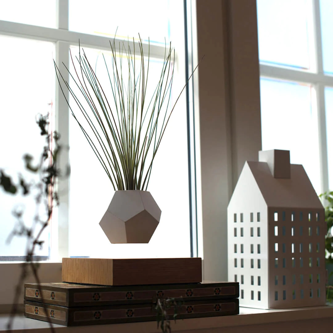 FLYTE Lyfe Silicone skin 12-Sided Geodesic Planter