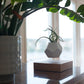 FLYTE Lyfe Silicone skin 12-Sided Geodesic Planter