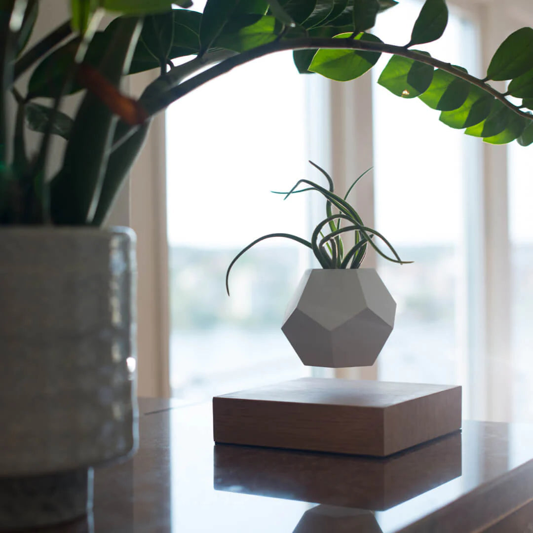 FLYTE Lyfe Silicone skin 12-Sided Geodesic Planter