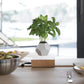 FLYTE Lyfe Silicone skin 12-Sided Geodesic Planter