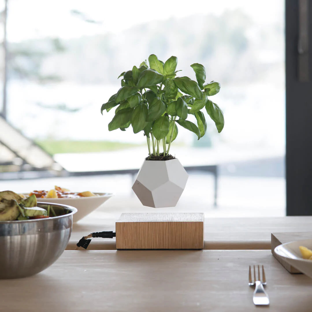 FLYTE Lyfe Silicone skin 12-Sided Geodesic Planter