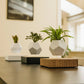 FLYTE Lyfe Silicone skin 12-Sided Geodesic Planter