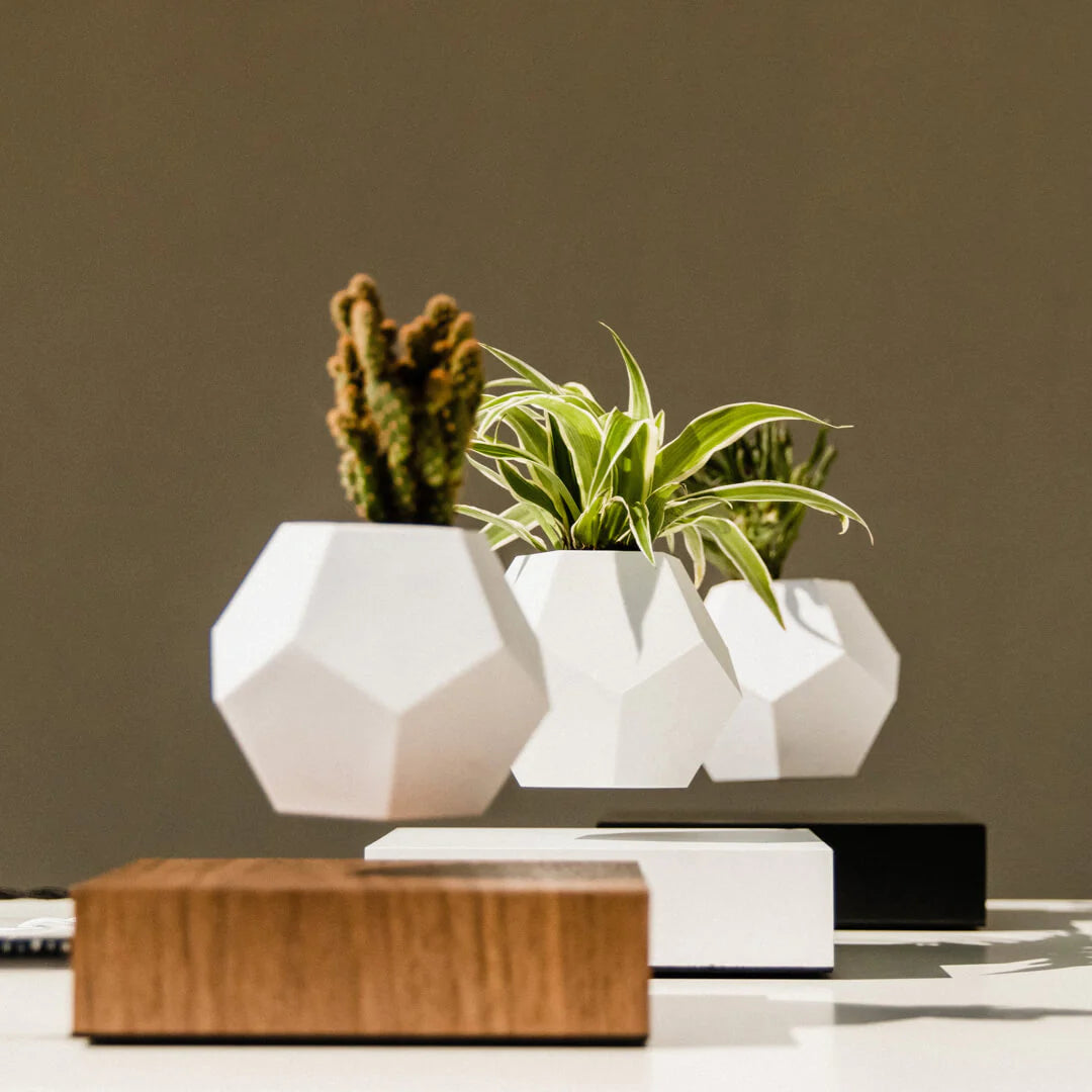 FLYTE Lyfe Silicone skin 12-Sided Geodesic Planter