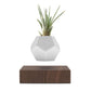 FLYTE Lyfe Silicone skin 12-Sided Geodesic Planter