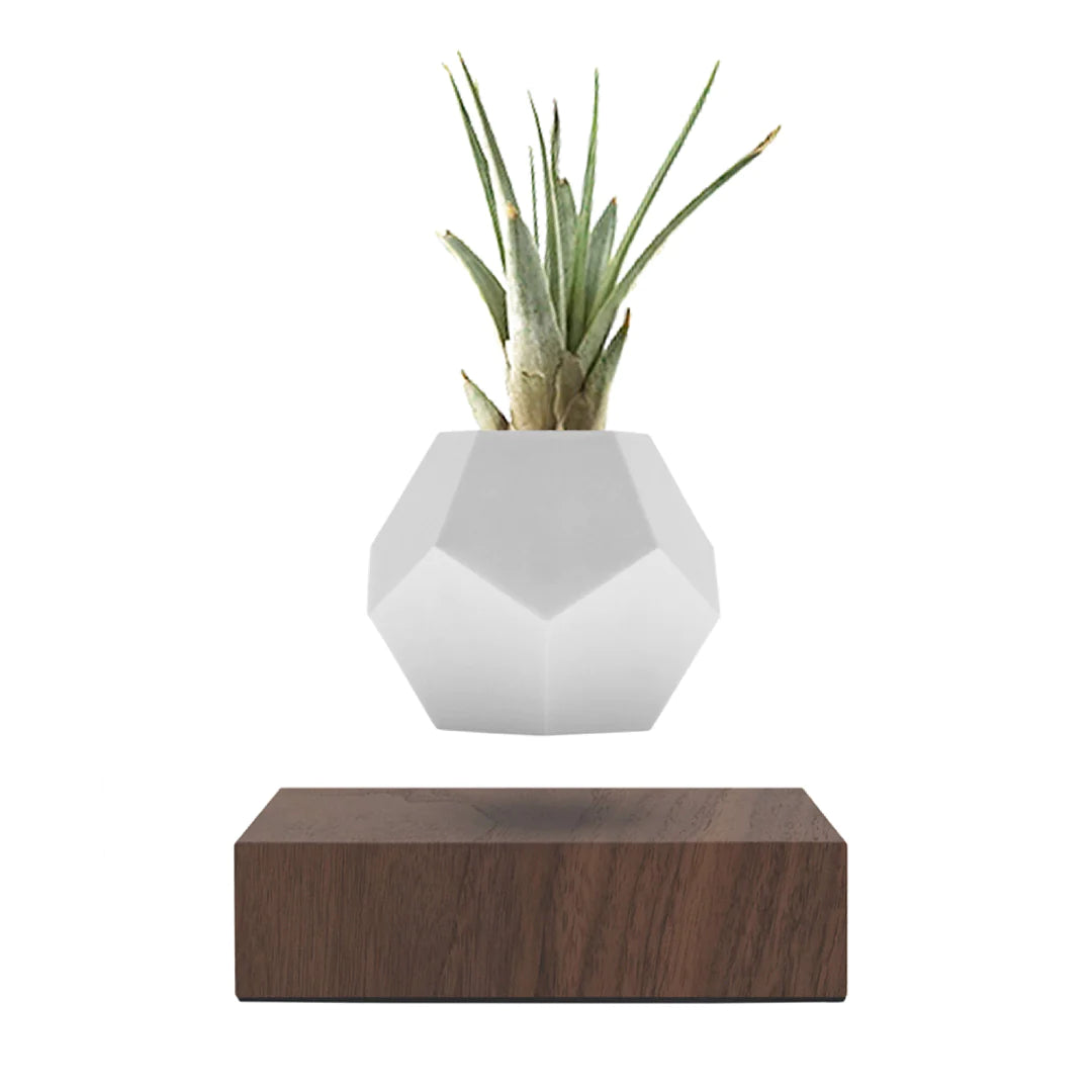 FLYTE Lyfe Silicone skin 12-Sided Geodesic Planter