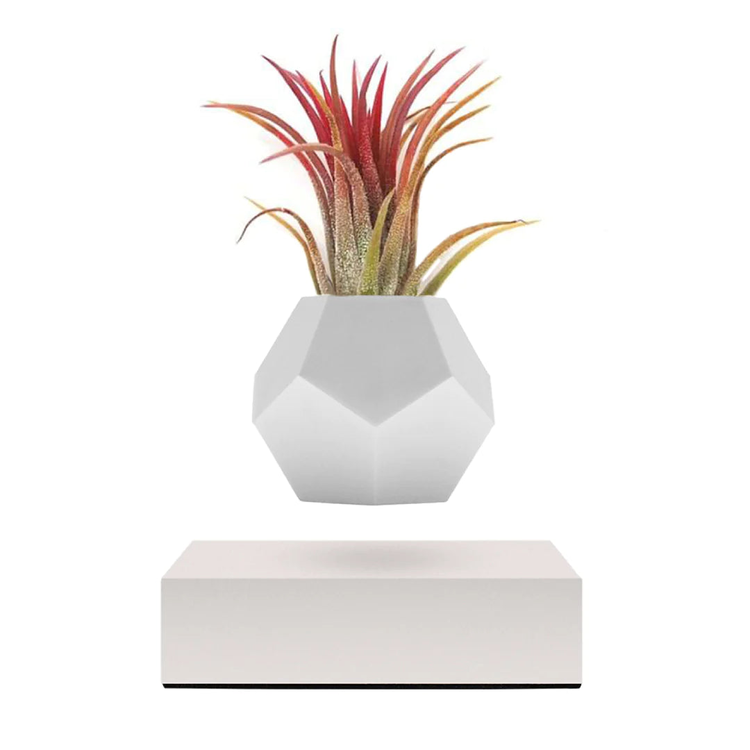 FLYTE Lyfe Silicone skin 12-Sided Geodesic Planter